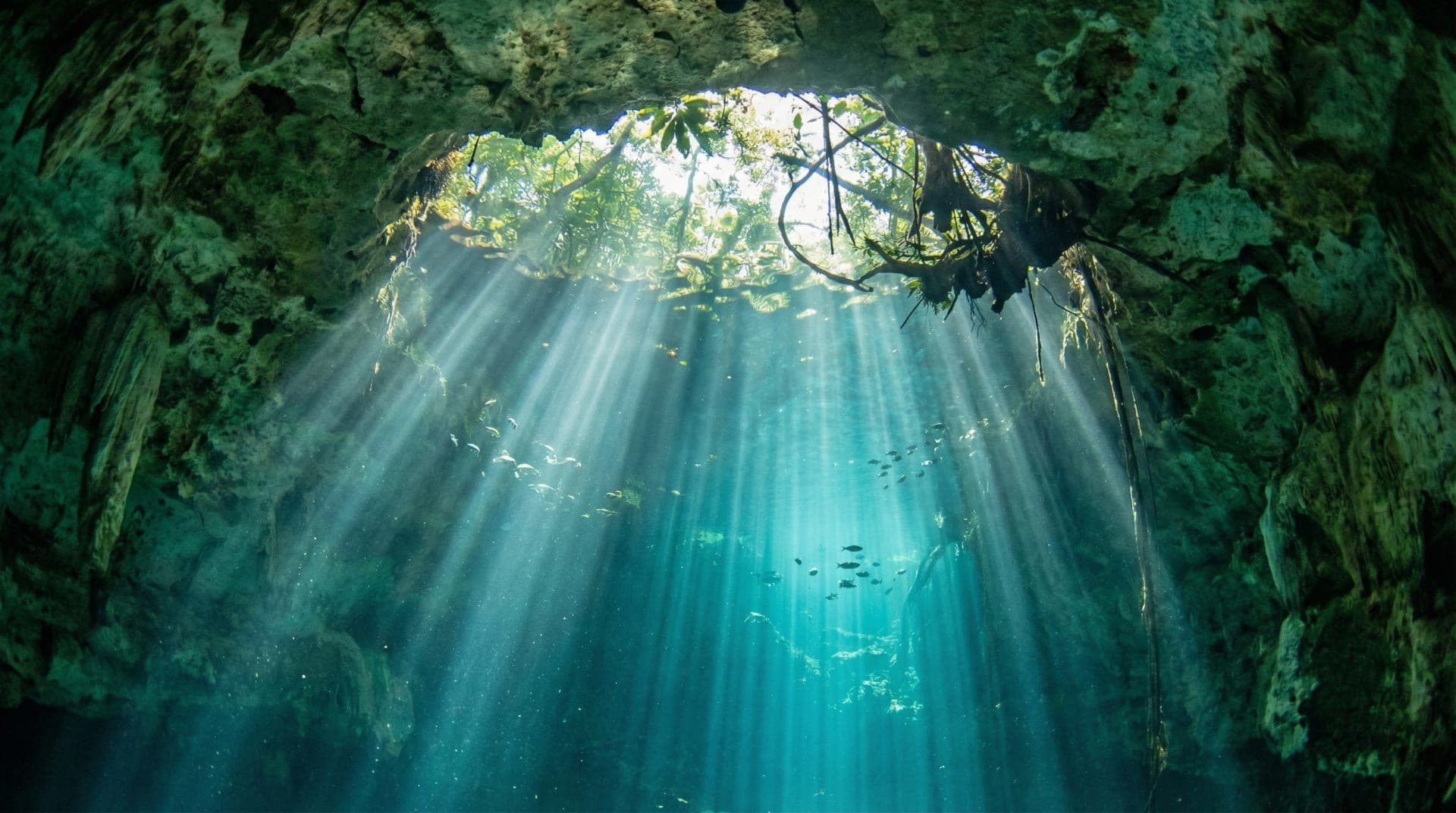 Ocean diving in Cancun, Mexico — reef diving on the Mesoamerican Barrier Reef