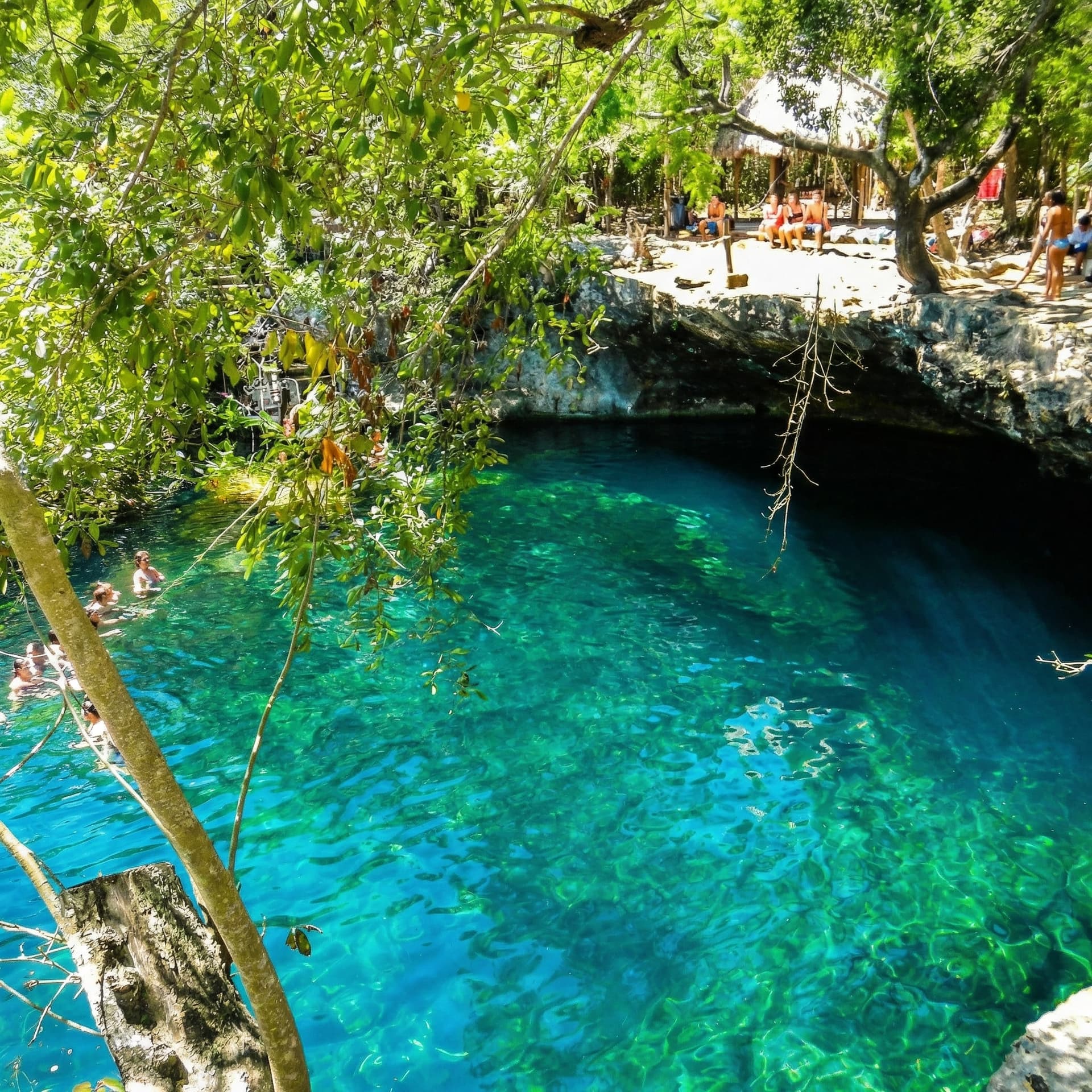 Cenote Cenote Eden — Beginner level cenote diving in Mexico