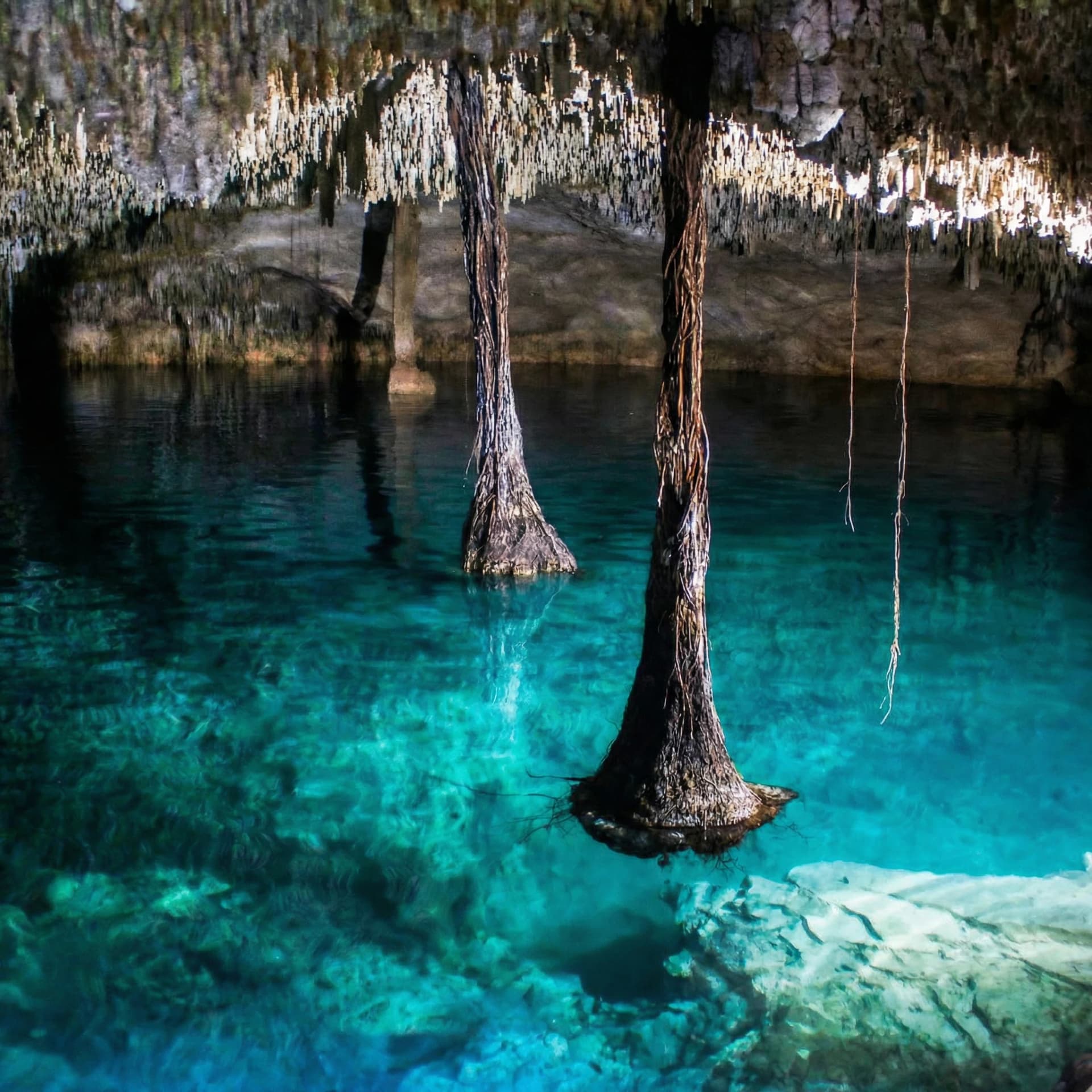 Zapote cenote — Advanced cenote diving near Puerto Morelos, Mexico