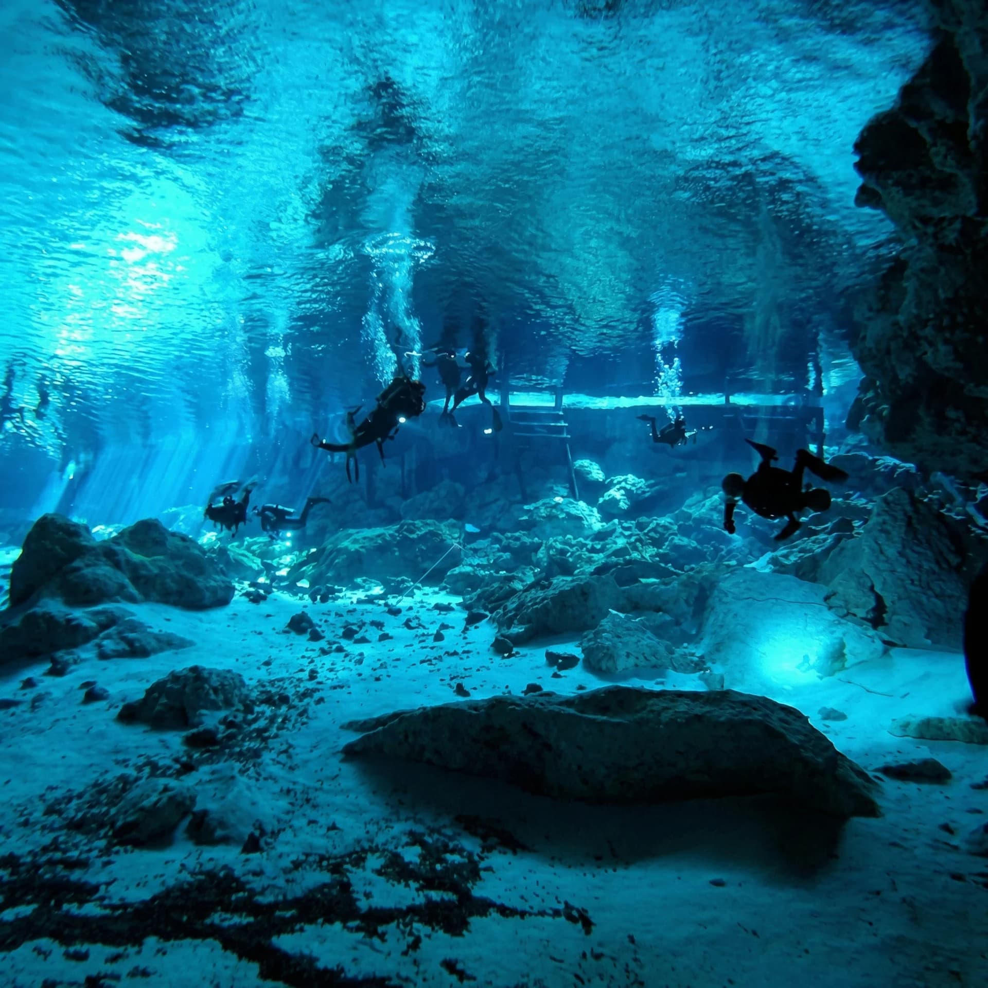 Cenote Barbie Line — Beginner level cenote diving in Mexico